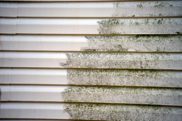 Best Hoarding Cleanup  in Seneca, IL